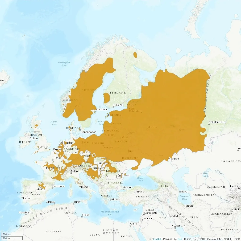 Distribution Castor fiber - IUCN