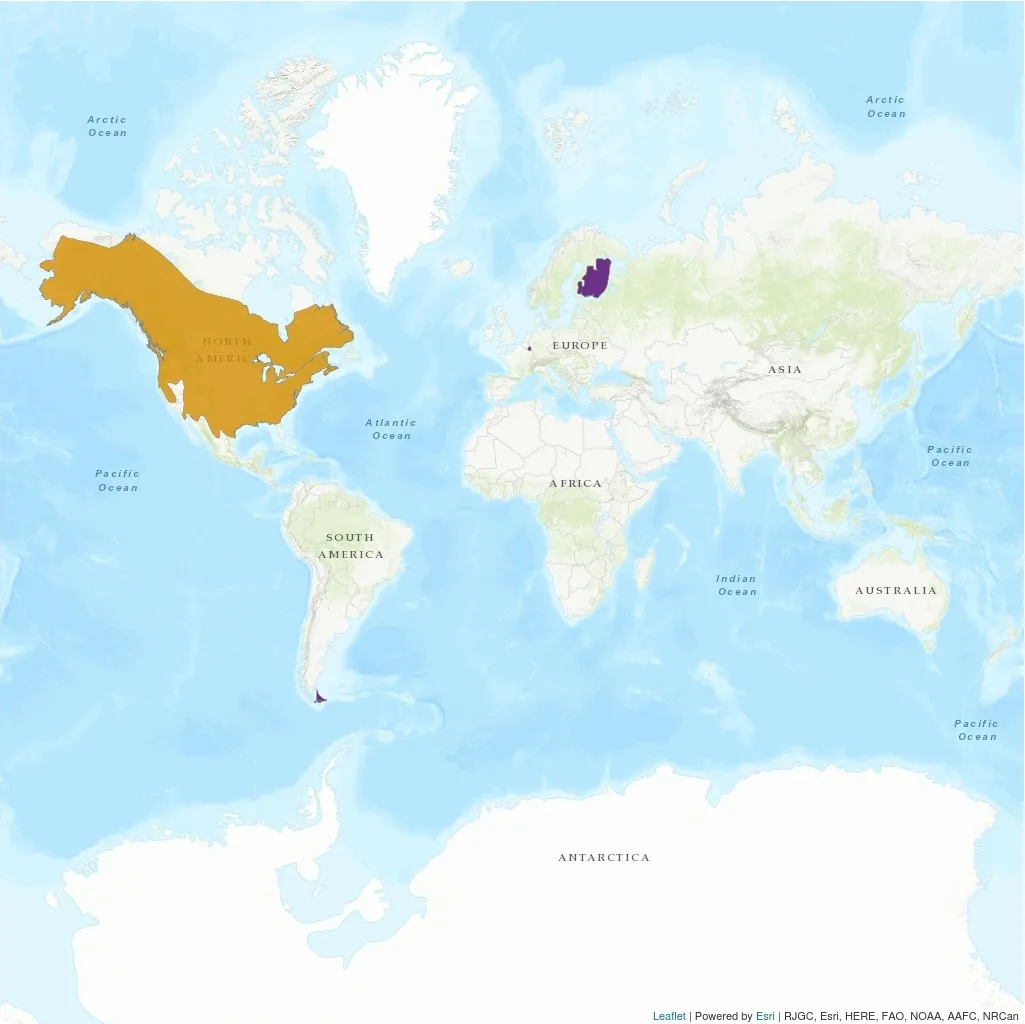 Distribution Castor canadensis - IUCN
